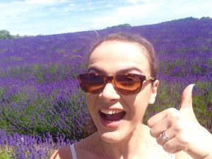 Lavender fields in Cotswolds