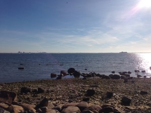 Noa Restaurant Tallinn