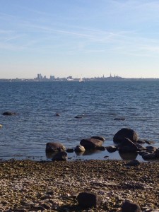 Noa restoran Tallinn