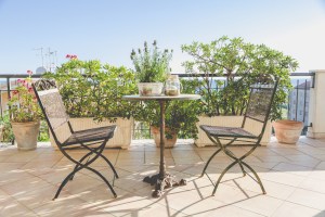 Marc Mordant Photography Le Colline world class olive oils